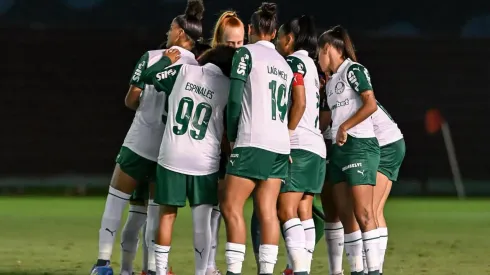 Palestrinas comemoram classificação. Foto: Fabio Menotti/Palmeiras