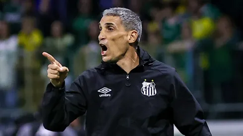 Vojvoda, treinador do Santos