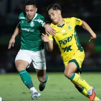 Notas e desempenho: Como cada jogador se saiu em Mirassol x Palmeiras pelo Brasileirão Betano