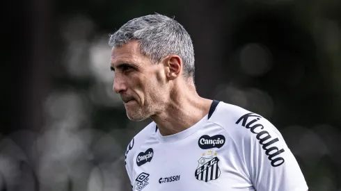 Vojvoda está comandando seu segundo clube no Brasil