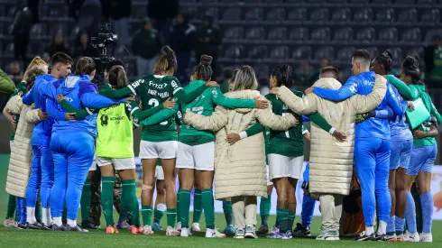 Palmeiras encara o Santos pelo Paulistão. Foto: Fabio Menotti/Palmeiras