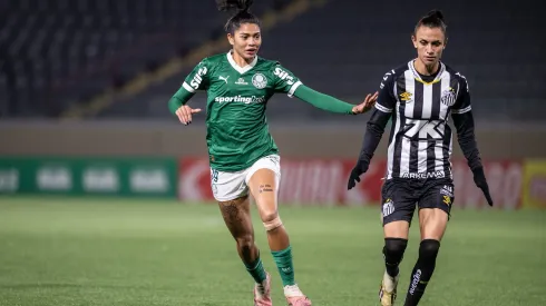 Palmeiras e Santos duelam pela penúltima rodada – Foto: Guilherme Veiga/Ag.Paulistão