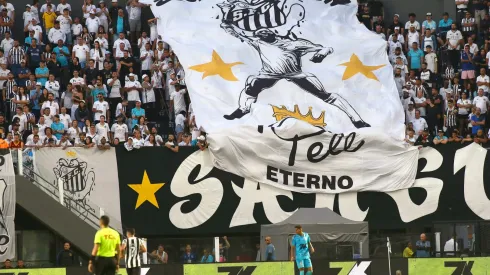 Torcida do Santos durante partida contra Botafogo no estadio Vila Belmiro pelo campeonato Brasileiro A 2025. Foto: Mauricio De Souza/AGIF