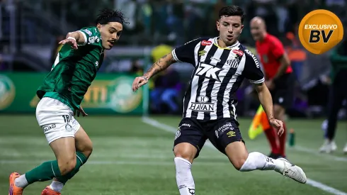 Santos y Palmeiras se enfrentan en el Brasileirão. Foto: Fabio Giannelli/AGIF