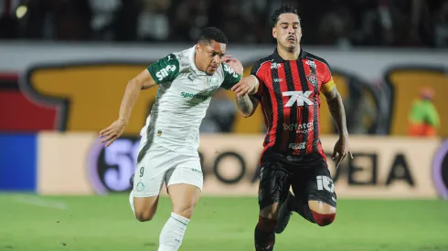 Palmeiras e Vitória se enfrentam pelo Brasileirão. Foto: Jhony Pinho/AGIF