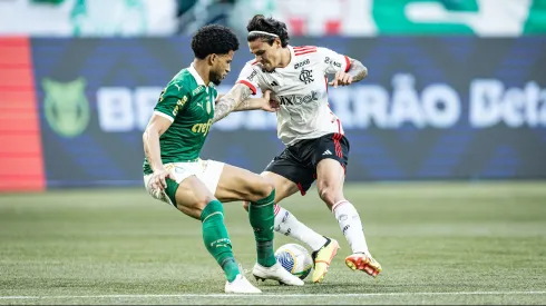 Pedro, jogador do Flamengo, durante partida contra o Palmeiras no estadio Arena Allianz Parque pelo campeonato Brasileiro A 2024. Foto: Leonardo Lima/AGIF