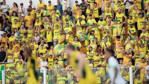 Torcida do Mirassol vem fazendo a diferença neste Brasileirão