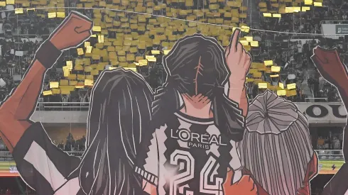 Torcida Botafogo. Foto: Thiago Ribeiro/AGIF