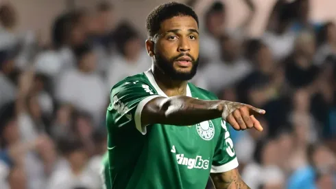Micael, jogador do Palmeiras, durante partida contra o Santos no estadio Vila Belmiro pelo campeonato Brasileiro A 2025. Foto: Jota Erre/AGIF