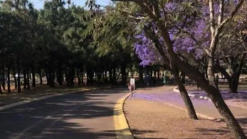 El candidato publicó la imagen junto al revelador mensaje de su estadía en Guadalajara