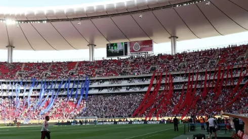 La fidelidad de los chivahermanos sigue dando pruebas de grandeza