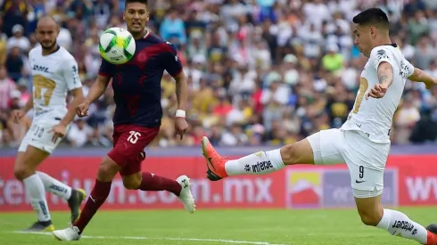 Alfaro abandonará el Rebaño por la próxima temporada para darle más espacio al "Tiba" Sepúlveda