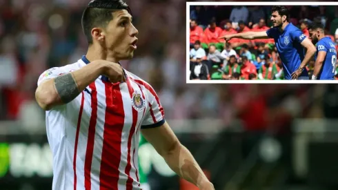 Puligol aprueba el arribo del Pollo al Redil