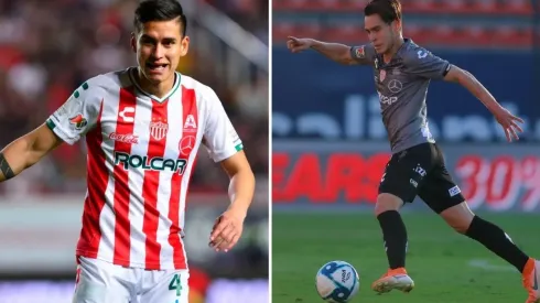 Tal parece que suman y siguen los nuevos elementos para el Rebaño Sagrado