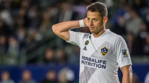 Luis García se burla por quién pide regreso de Chicharito.