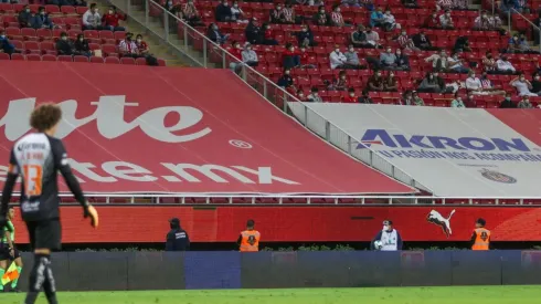 La directiva rojiblanca descartó la posibilidad de recibir público en una probable semifinal del Guard1anes 2020