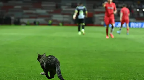 El minino ingresó al campo a los 85 minutos y cambió el rumbo del partido en Toluca