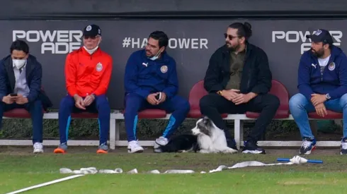 ¿Quién es Alejandro Manzo?