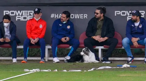 ¿Quiénes integran el consejo deportivo de Chivas?