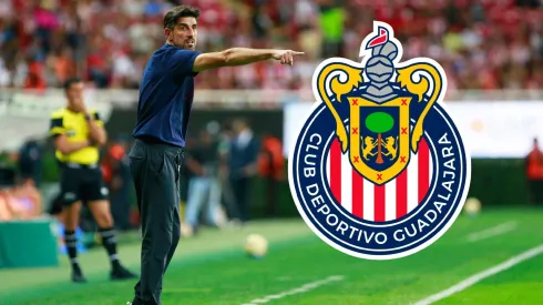 “Es un Rebaño perfecto”