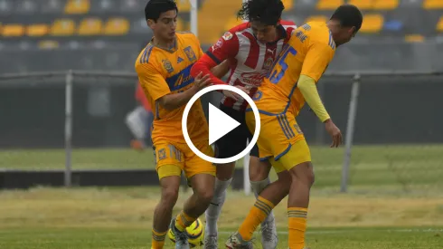 Guadalajara sufrió su primer traspié del torneo en la cancha de Tigres