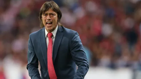 Chivas está buscando director técnico y Matías Almeyda es uno de los favoritos de la afición.