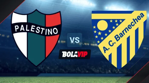 A qué hora juegan Palestino vs. Barnechea por la Copa Chile