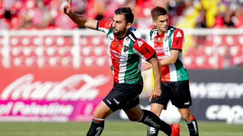 Palestino confirma dos renovaciones y el regreso de un jugador.