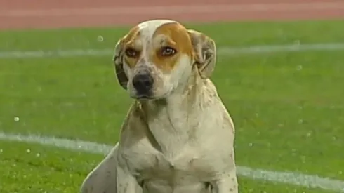 Jhonny fue al baño en el Estadio La Granja