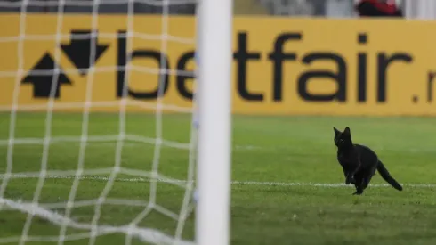 El gato negro que se cruzó en el primer tiempo