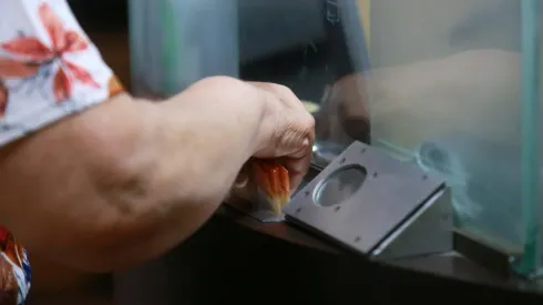 Revisa las fechas de pago de los bonos estatales.