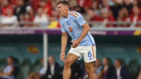 Llorente hizo un insólito análisis tras el fracaso español.