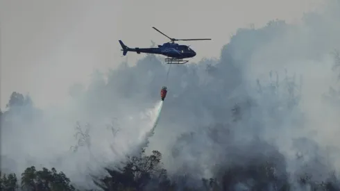 La región de Valparaíso sufre con los incendios forestales. 
