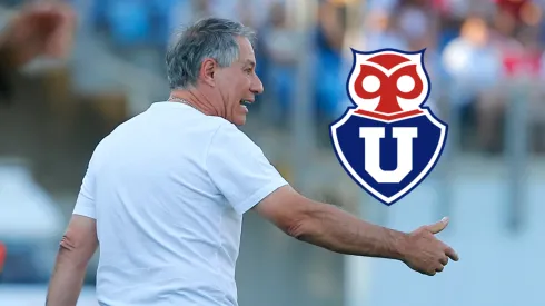 Este campeón con Universidad Católica asoma en el horizonte de Universidad de Chile.