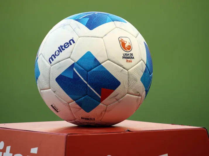 Los cinco peores refuerzos del fútbol chileno en 2025