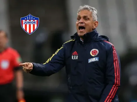 Los tres candidatos que suenan para reemplazar a Julio Comesaña en Junior