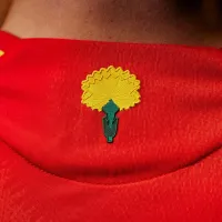 ¿Qué significa el clavel que usará España en el partido contra la Selección Colombia?