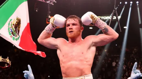 Saul Canelo Alvarez, Boxing