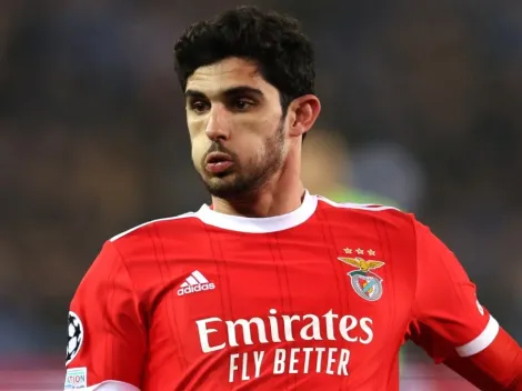 Benfica vs Famalicao: TV Channel, how and where to watch or live stream free 2022-2023 Primeira Liga in your country today