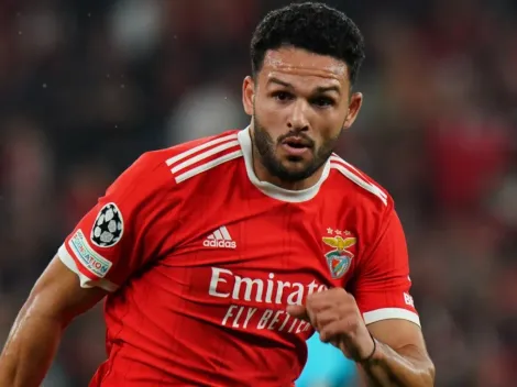 Rio Ave vs Benfica: TV Channel, how and where to watch or live stream 2022-2023 Primeira Liga in your country today