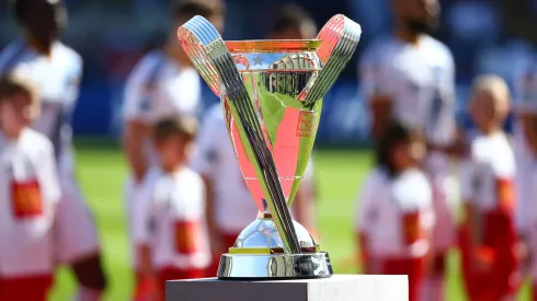 The Philip F. Anschutz trophy is displayed on the field prior to the 2014 MLS Cup final.
