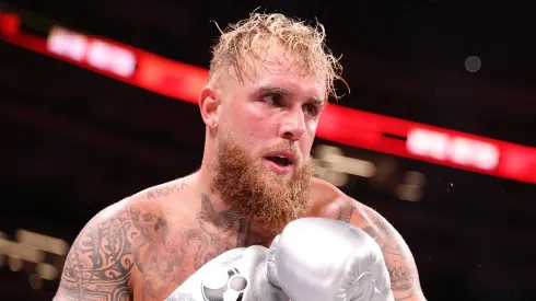 Jake Paul is searching for his next rival to continue his boxing career