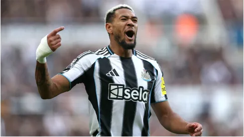 Joelinton of Newcastle United