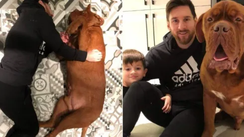 El perro de Messi y Antonella Roccuzzo la pasa mejor que nosotros