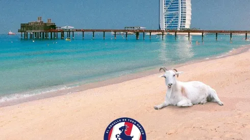 Los aficionados de Chivas se preguntan a dónde se fueron los seguidores del América (Foto: Twitter)