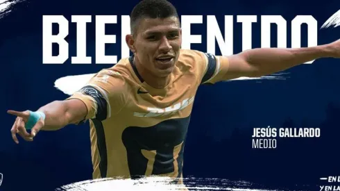 Presentación de Gallardo