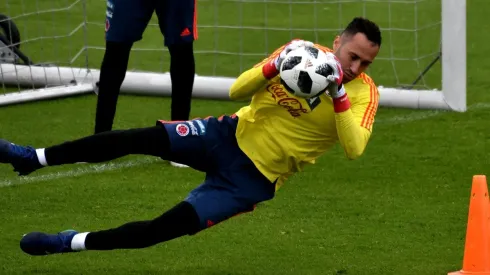 TOMA CONFIANZA. David Ospina empieza a responder con atajadas en la Selección Colombia (Foto: Getty).