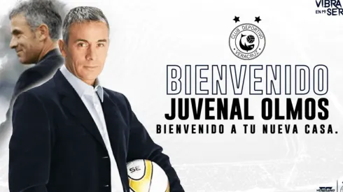 Juvenal Olmos confirmado como nuevo DT del Veracruz.