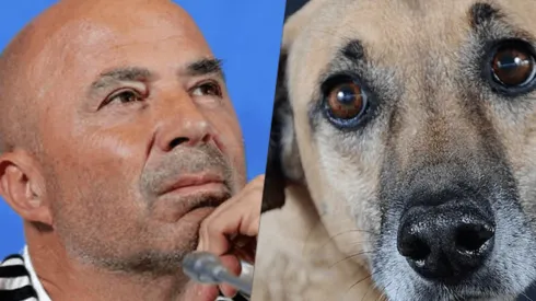 ¡PICHICHO! Sampaoli pidió a un volante mixto...en la veterinaria.