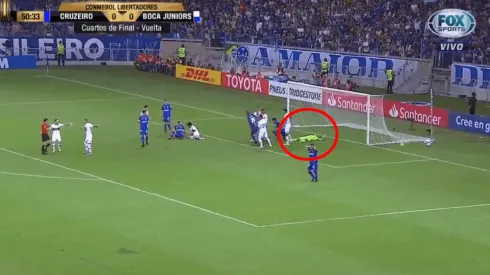 Foto de Rossi tirado en el césped.